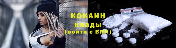 кокс Арсеньев