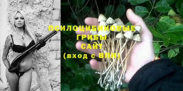 ПСИЛОЦИБИНОВЫЕ ГРИБЫ Алексин