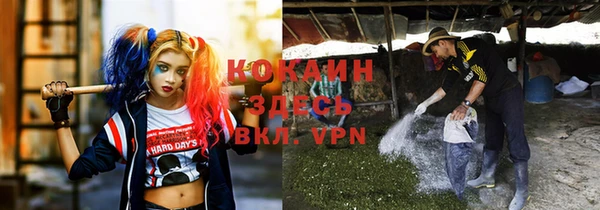 ПСИЛОЦИБИНОВЫЕ ГРИБЫ Алексин