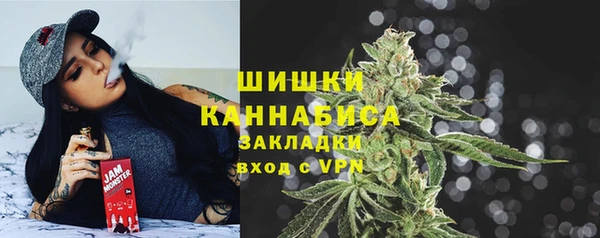 ПСИЛОЦИБИНОВЫЕ ГРИБЫ Алексин