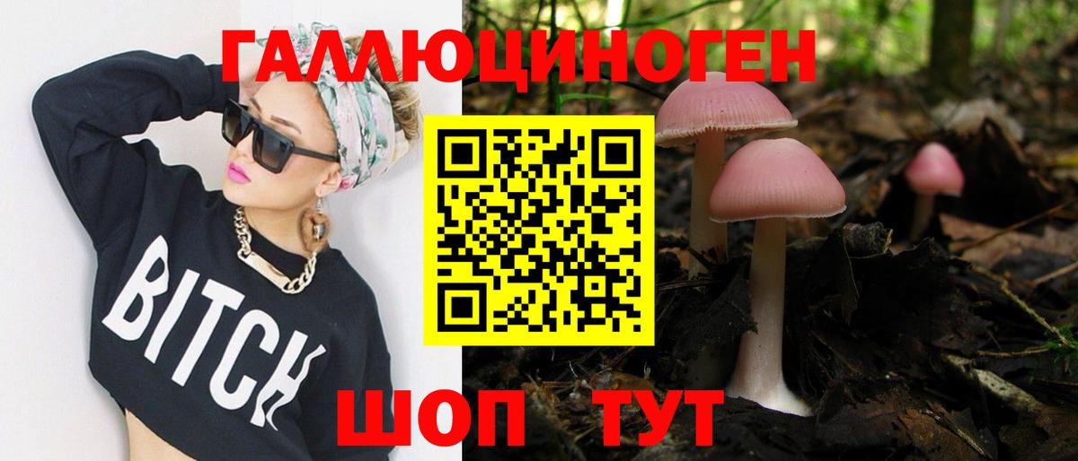 как найти закладки  Вход с VPN  Псилоцибиновые грибы Psilocybe  Салават  Псилоцибиновые грибы мухоморы 