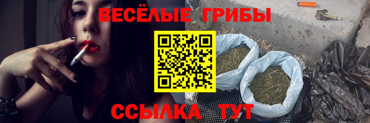 Галлюциногенные грибы мухоморы Салават